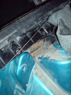 rost4.JPG