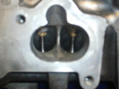 S6000582.JPG