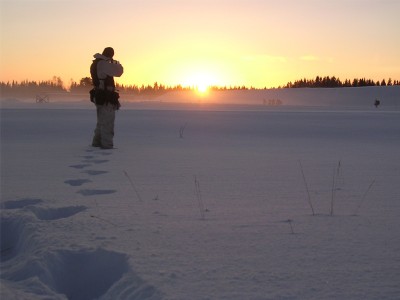 solnedgang.jpg